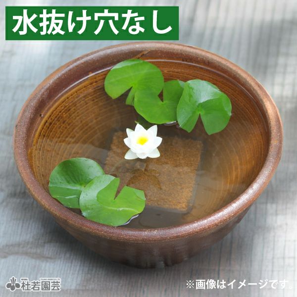 新品 ∅50 陶器 睡蓮鉢 大型 難有 メダカ鉢 手造り 青＆緑色 高級