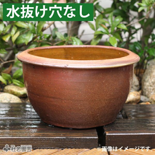 穴なしスイレン陶器鉢 丸型（M） | 杜若園芸WEBショップ｜水草の