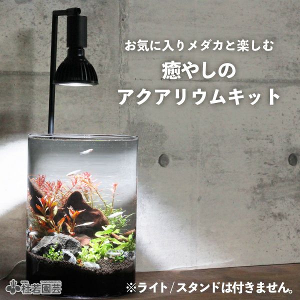 癒やしのアクアリウムキット（ライト/スタンド無し） | 杜若園芸