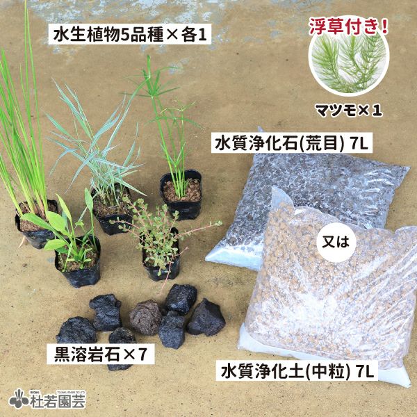 水草⭐︎様 リクエスト 4点 まとめ商品 000000003818-05-l.jpg?t=