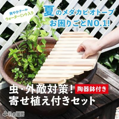 栽培・飼育セット【蓮・睡蓮・ビオトープ・メダカ】 | 杜若園芸WEB