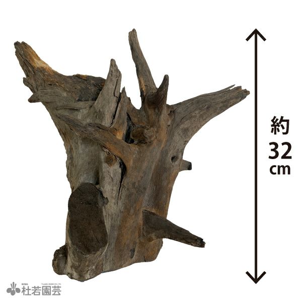 一点物(流木・飾り石) | 杜若園芸WEBショップ｜水草の生産販売【通販