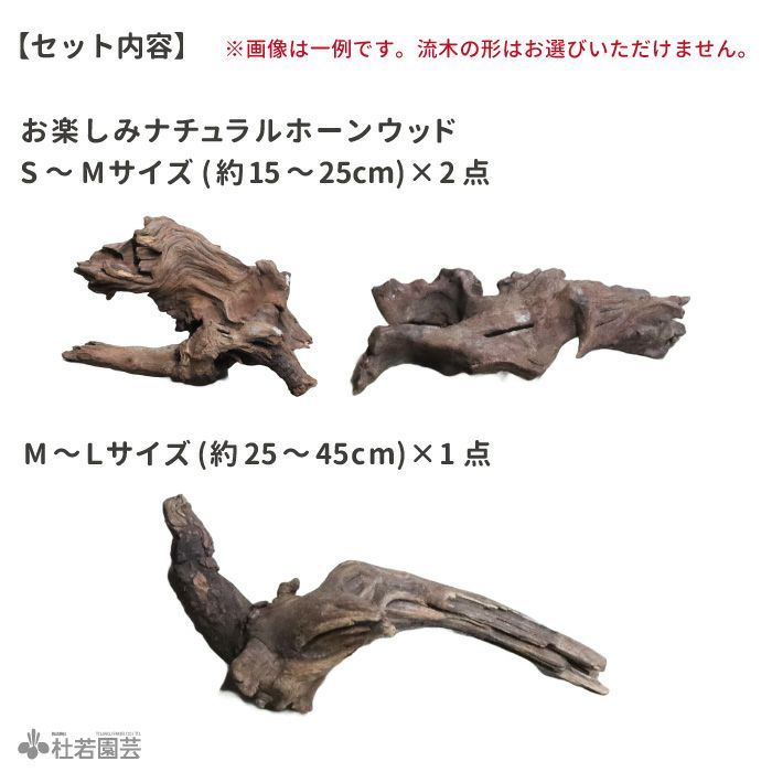 国産天然流木 ホーンウッド R050725-4 ?