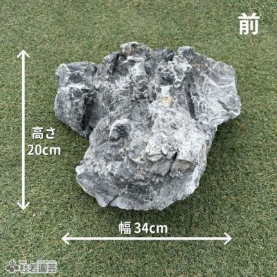 一点物(流木・飾り石) | 杜若園芸WEBショップ｜水草の生産販売【通販