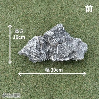 一点物(流木・飾り石) | 杜若園芸WEBショップ｜水草の生産販売【通販