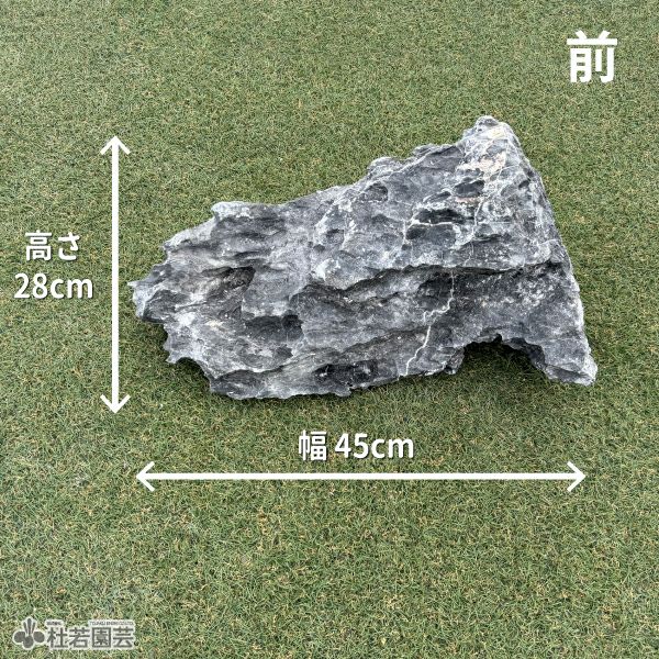 青龍石-4 | 杜若園芸WEBショップ｜水草の生産販売【通販ショップ】