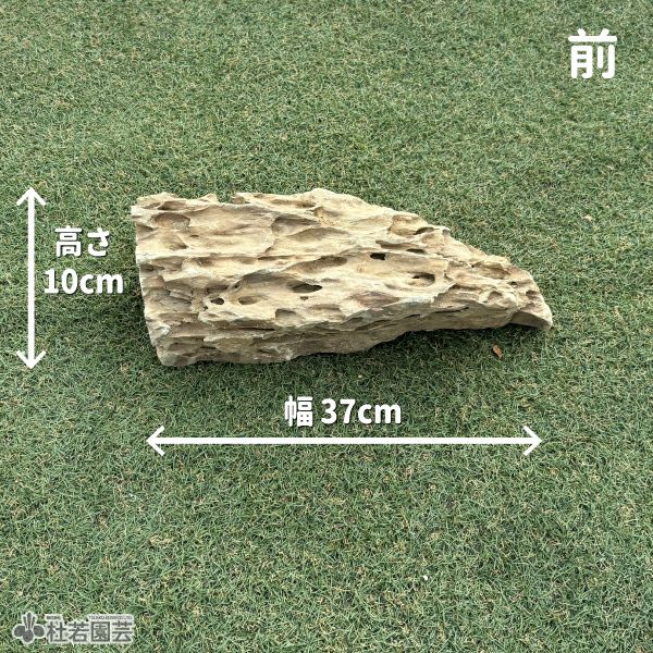 気孔石-3 | 杜若園芸WEBショップ｜水草の生産販売【通販ショップ】