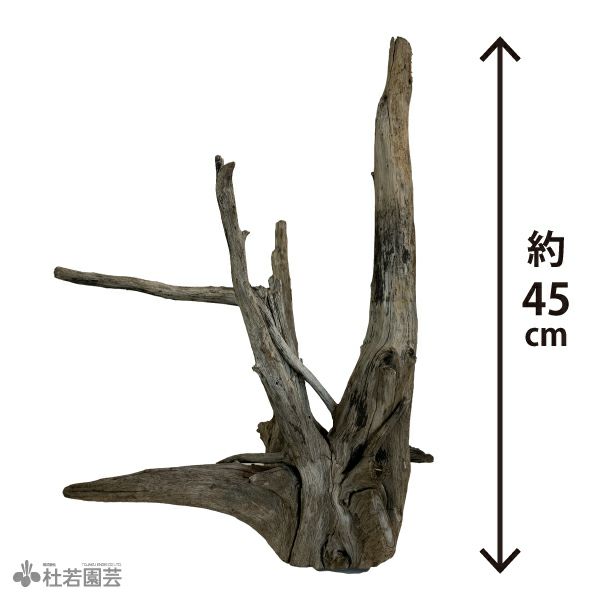 霊石 一点物 様々な状況の克服 運気上昇を望まれる方へ ※念入れ料込 161g 高額当選してみませんか？【金運パワーストーン】特級呪物 金運上昇