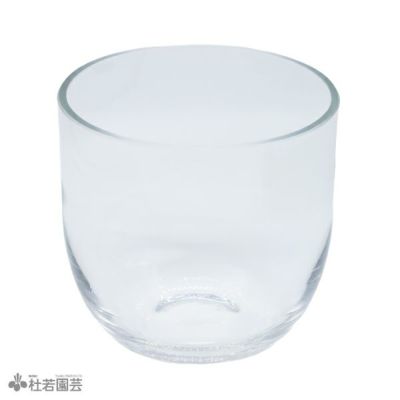 オランダ製高級ガラス鉢 カメル Φ19cmxh19cm | 杜若園芸WEB