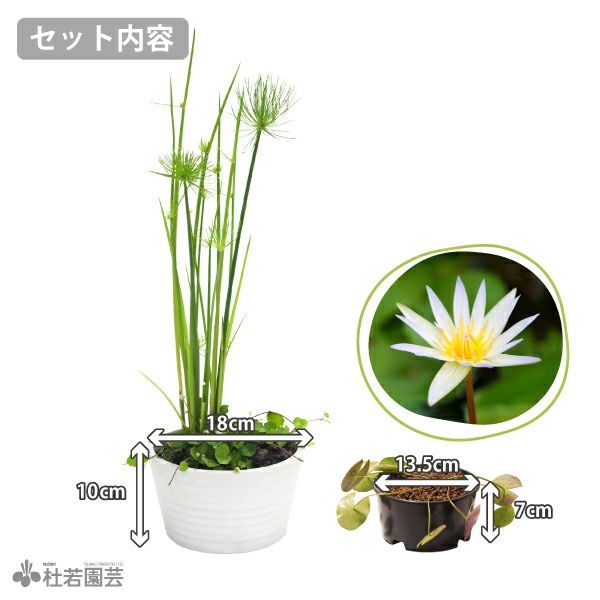 set-1190セット内容
