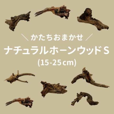 ✴︎天然素材の流木✴︎ インテリアや水槽　ホーンウッド置物に　アクアリウム　水草 ナチュラルホーンウッド-76 | 杜若園芸WEBショップ｜水草の生産