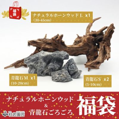 ☆青龍石 親石1点(約18.468kg)約37cm☆ ☆青龍石 親石1点(約18.468kg)約37cm☆ 2025年最新】龍王石 親石の人気